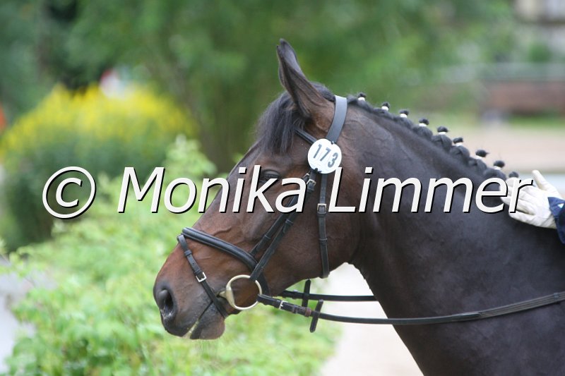 097M6516_Recht Ordentlich.JPG